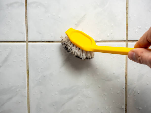 Best Mold Remediation  in Dalton Gardens, ID