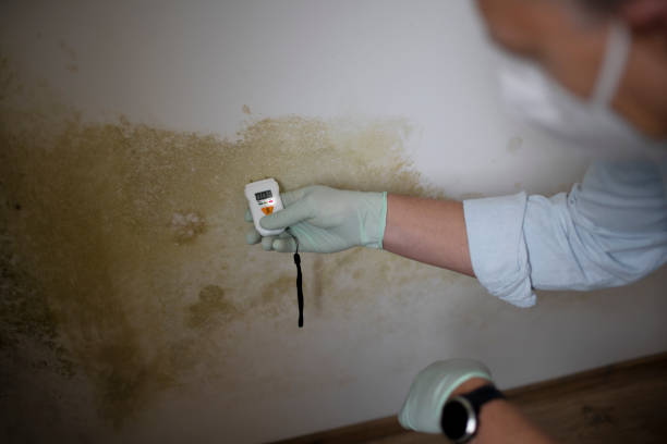 Water Damage Restoration in Dalton Gardens, ID